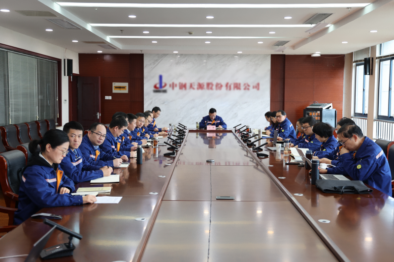 中钢天源召开党委理论学习中心组学习（扩大）会议暨2026年协同文化建设推进会